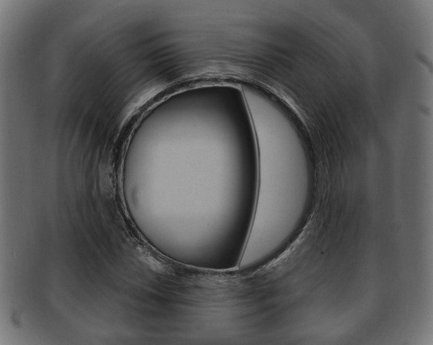 X0000091951018200709061035