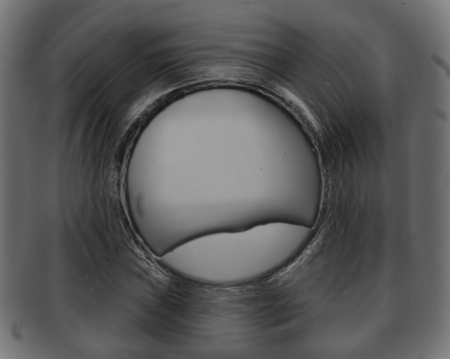 X0000091951019200709061035