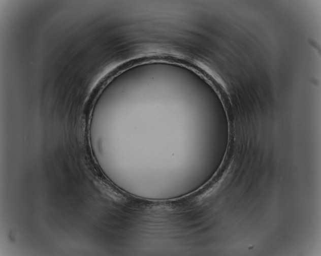 X0000091951021200709061035