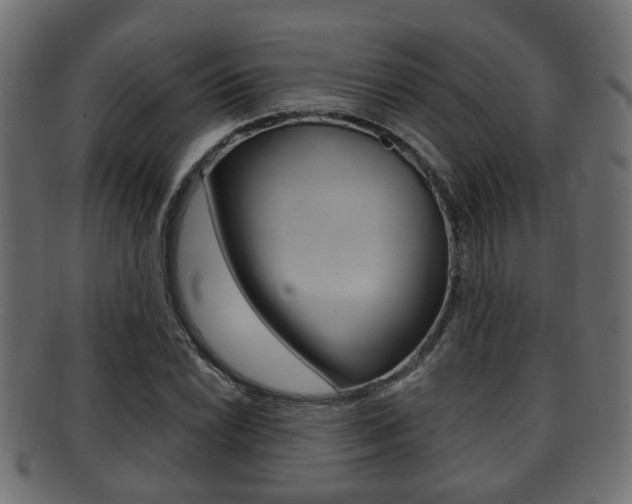 X0000091951022200709061035
