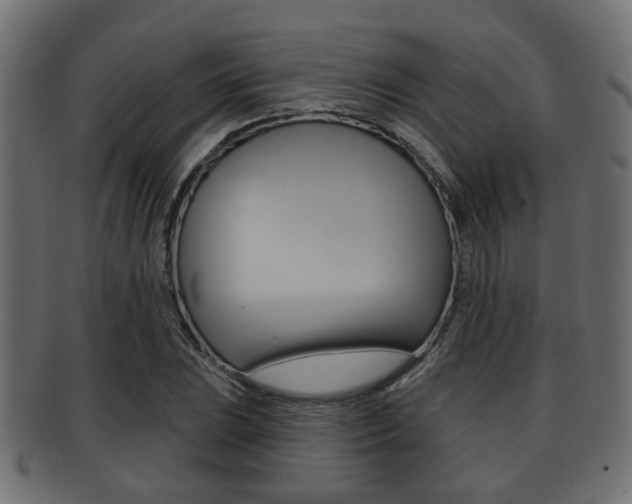 X0000091951023200709061035