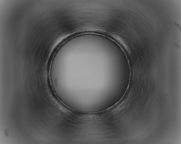 X0000091951024200709061035