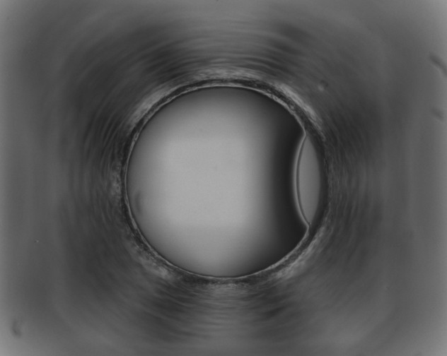 X0000091951025200709061035