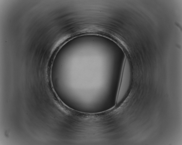 X0000091951026200709061035