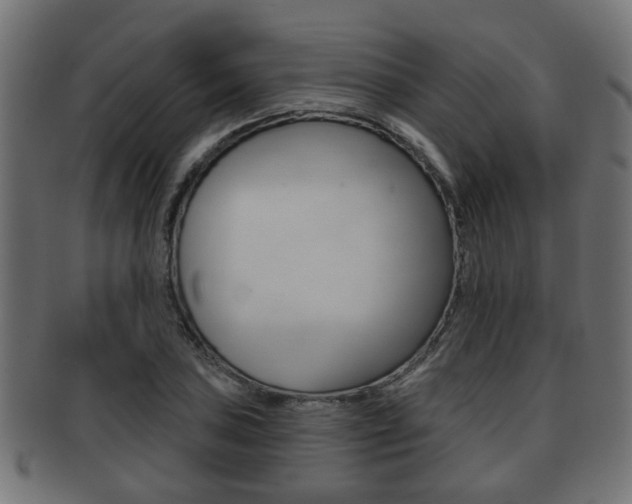 X0000091951027200709061035