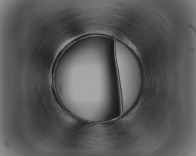 X0000091951028200709061035