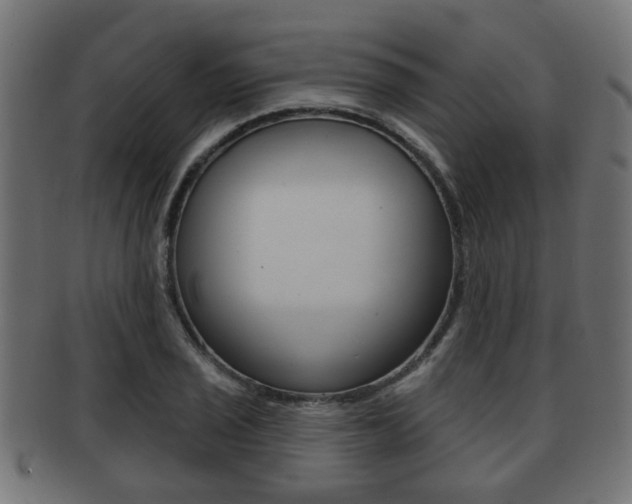X0000091951029200709061035