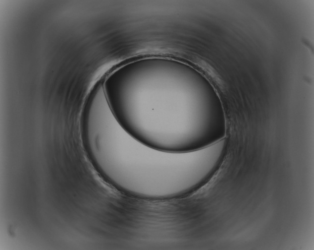 X0000091951030200709061035