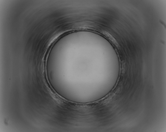 X0000091951031200709061035