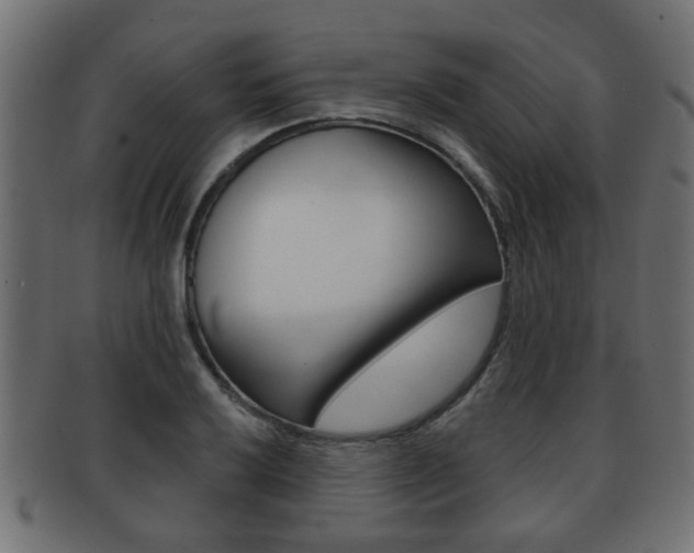 X0000091951032200709061035