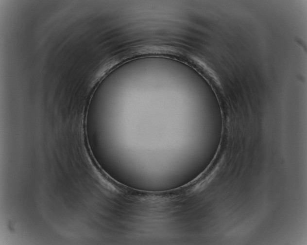 X0000091951033200709061035