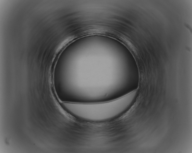 X0000091951034200709061035