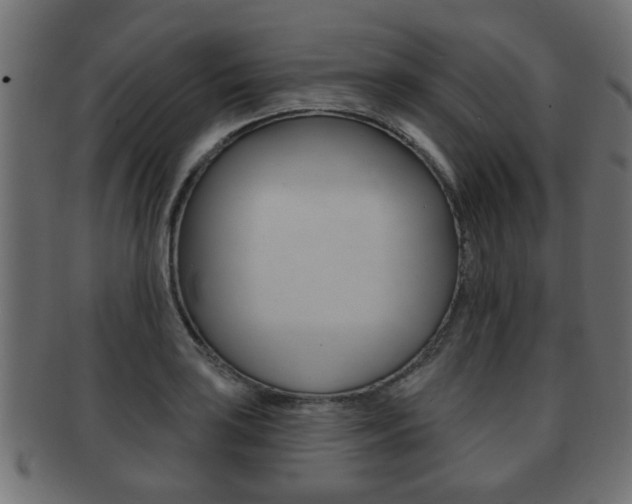 X0000091951035200709061035