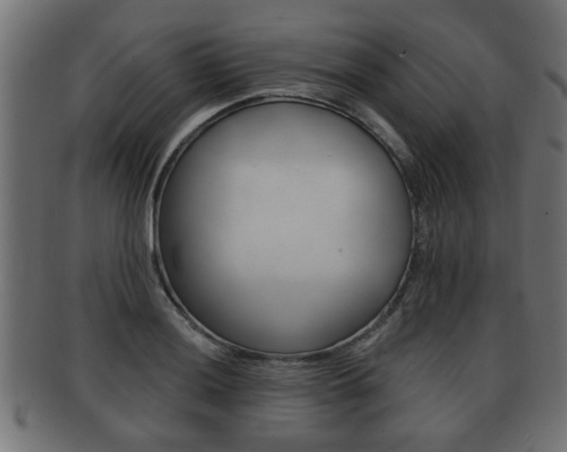 X0000091951036200709061035