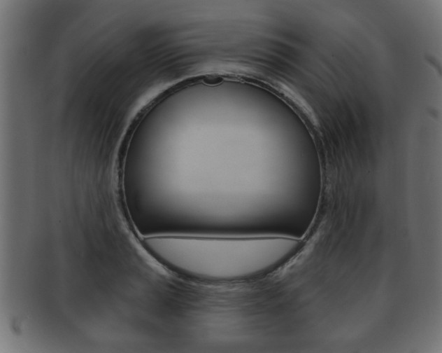 X0000091951037200709061035