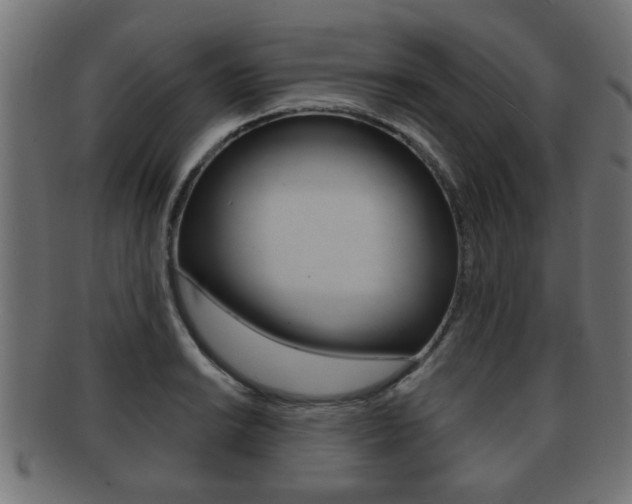 X0000091951038200709061035