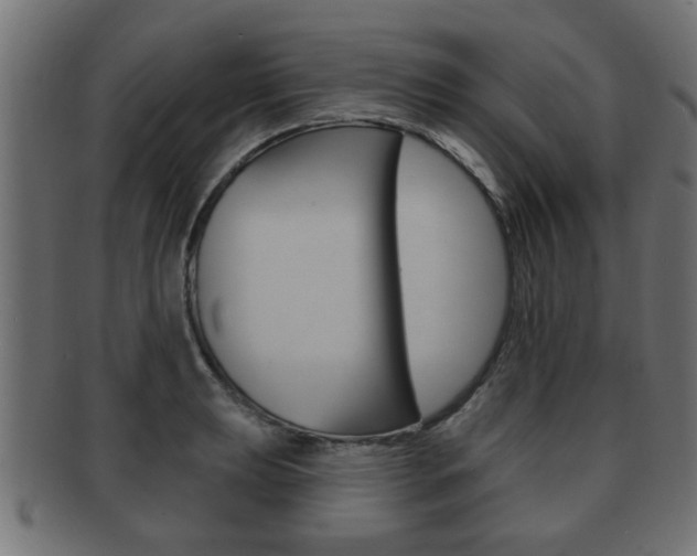 X0000091951039200709061036