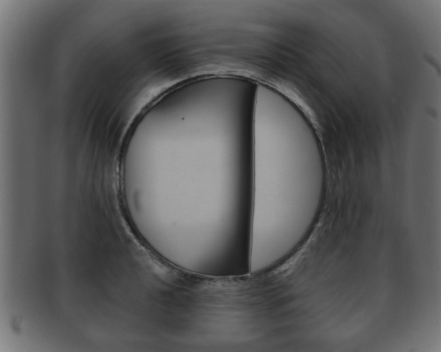 X0000091951040200709061036