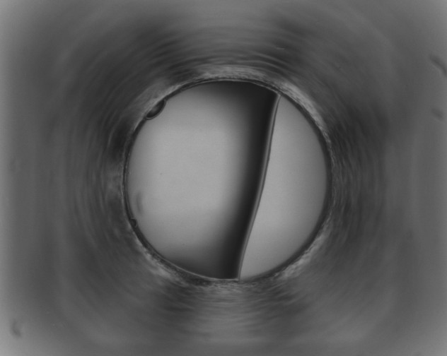 X0000091951041200709061036