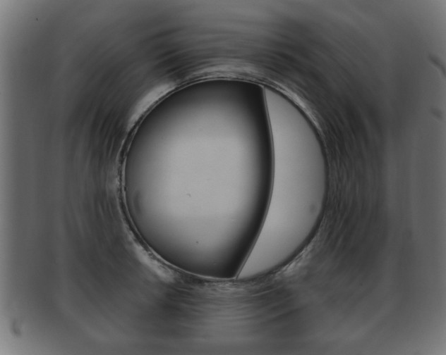X0000091951042200709061036