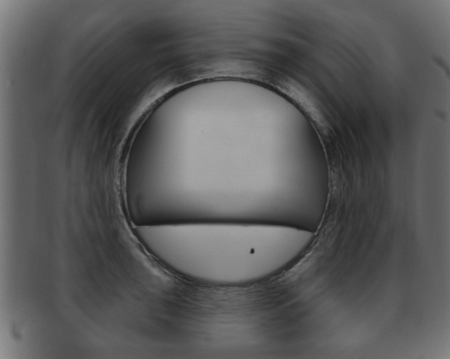X0000091951043200709061036