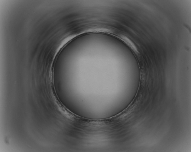 X0000091951044200709061036