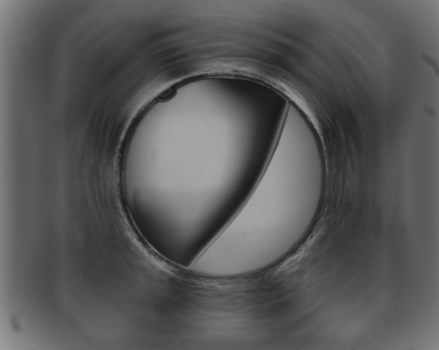 X0000091951045200709061036