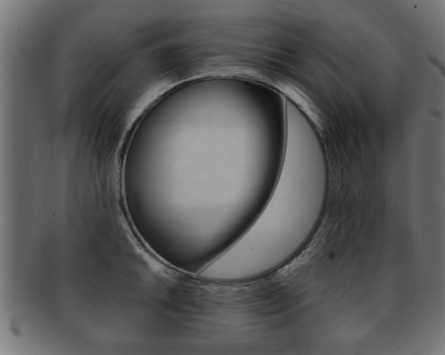 X0000091951046200709061036