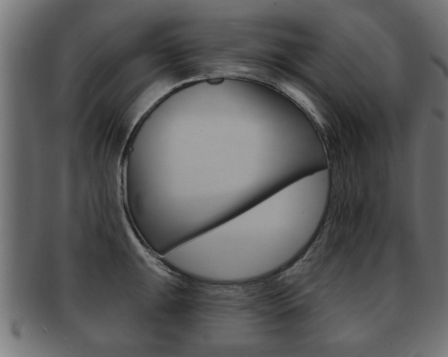 X0000091951047200709061036