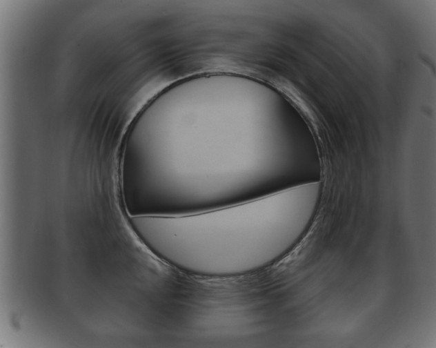 X0000091951048200709061036