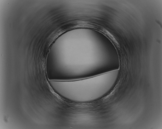X0000091951049200709061036