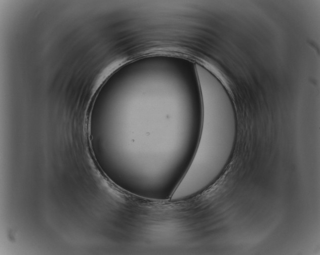 X0000091951050200709061036