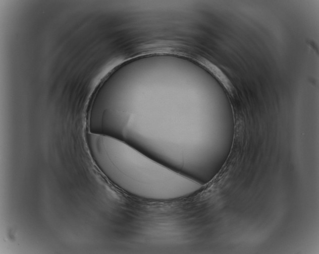 X0000091951051200709061036