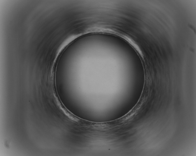 X0000091951053200709061036
