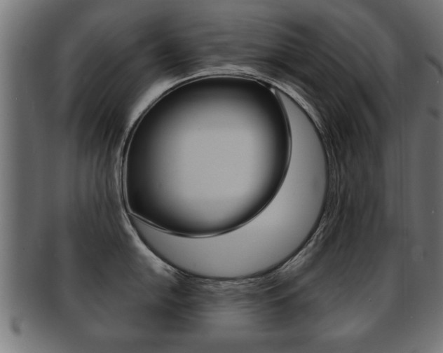 X0000091951054200709061036