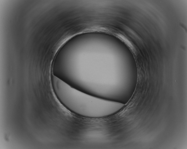 X0000091951055200709061036