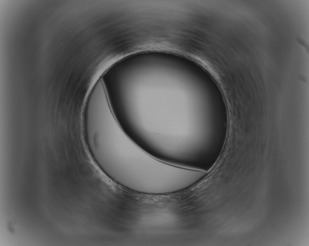 X0000091951056200709061036