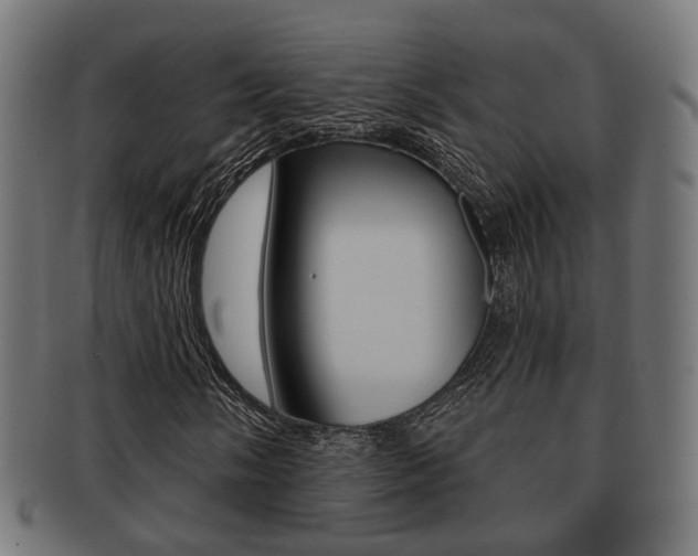 X0000091951058200709061035