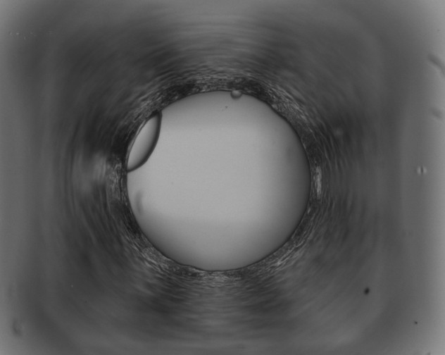 X0000091951059200709061035