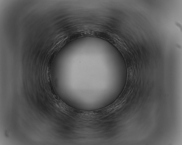 X0000091951060200709061035