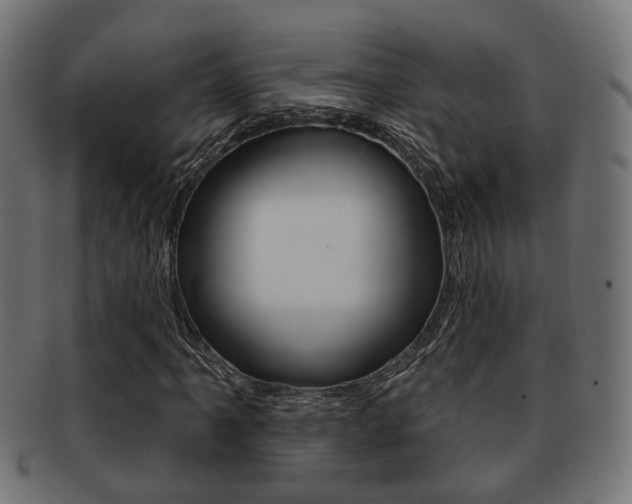X0000091951061200709061035