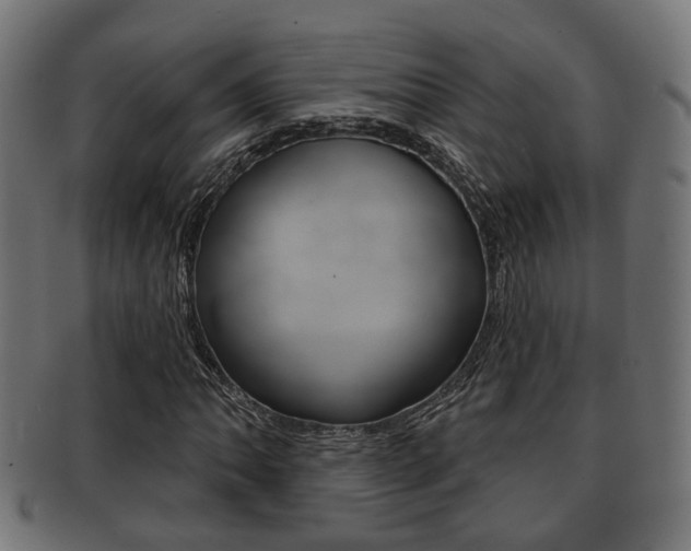 X0000091951062200709061035