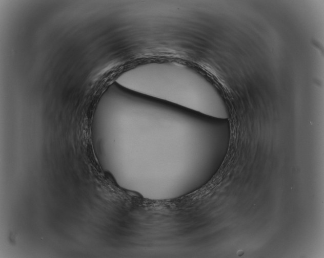 X0000091951063200709061035