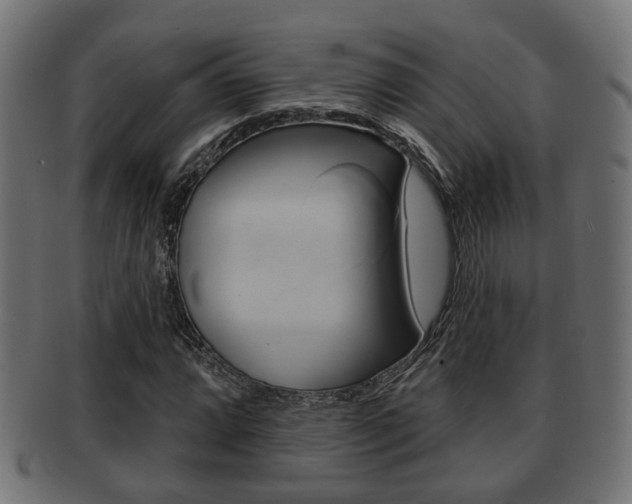 X0000091951064200709061035