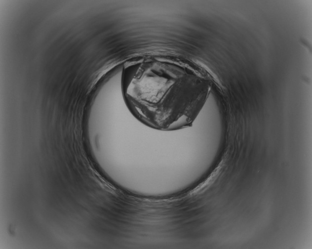 X0000091951065200709061035