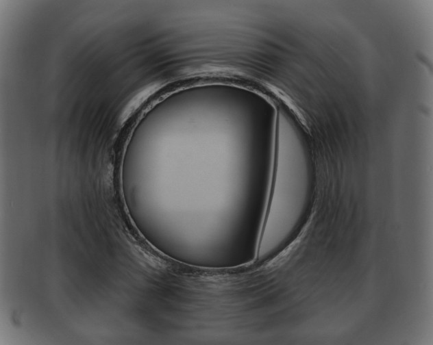 X0000091951066200709061035