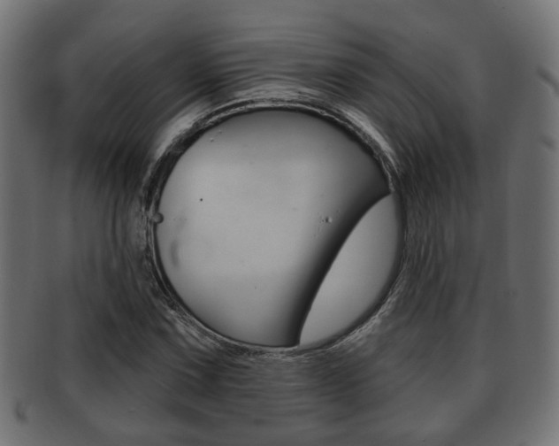 X0000091951067200709061035