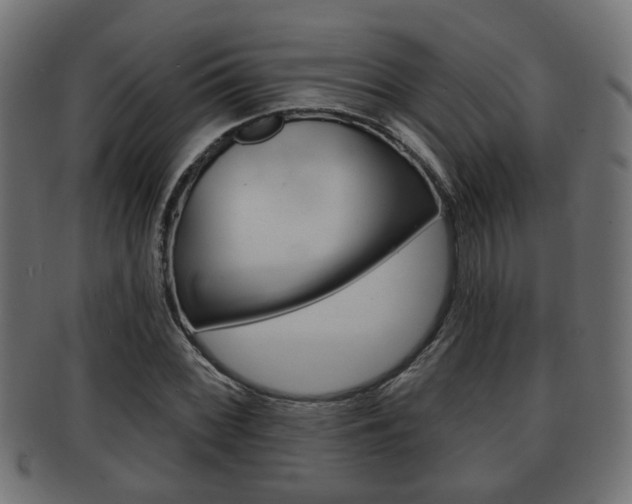 X0000091951068200709061035