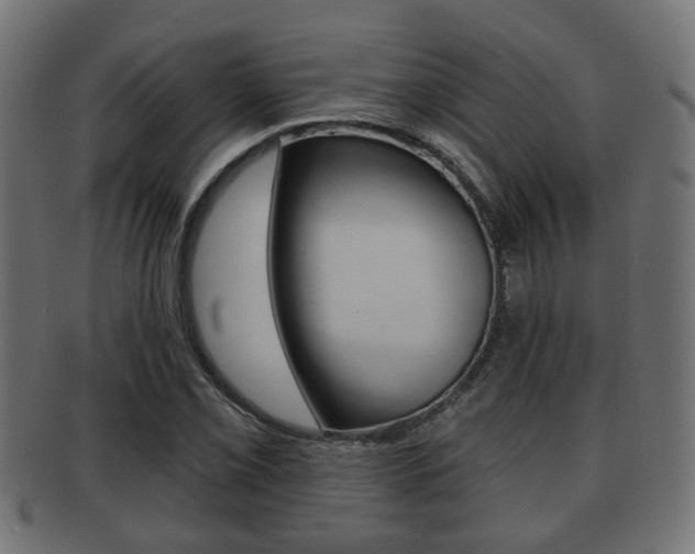 X0000091951069200709061035