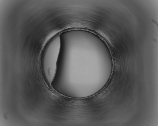 X0000091951070200709061035